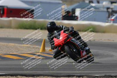 media/Mar-12-2023-SoCal Trackdays (Sun) [[d4c8249724]]/Turn 2 (1130am)/